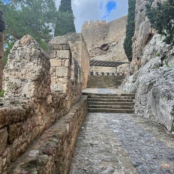 Meet your Posher, Bradley - Picture 1 of 1